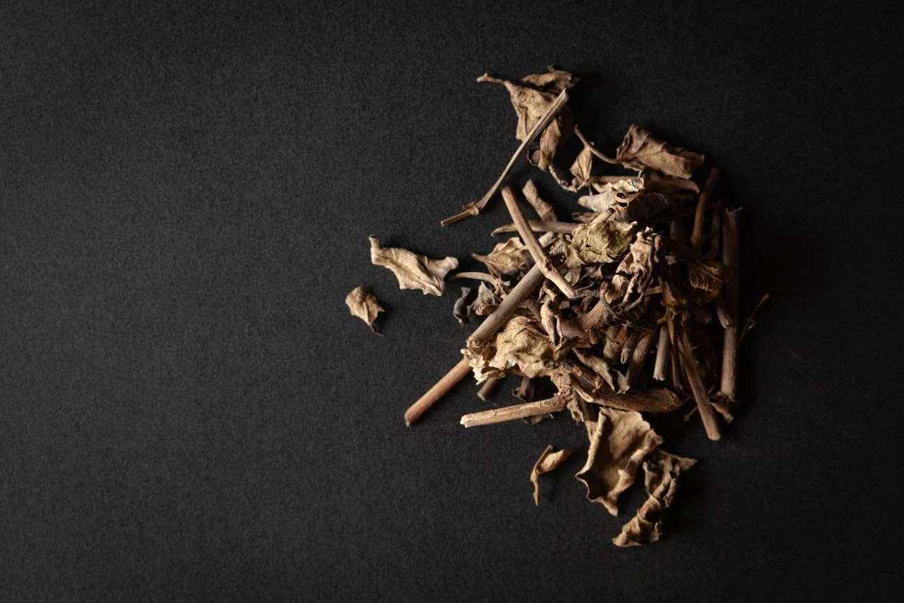 Punarnava Root (Boerhavia diffusa) used in Energyon